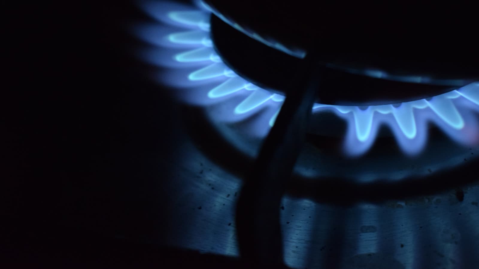 Dogalgaz brulor alevi